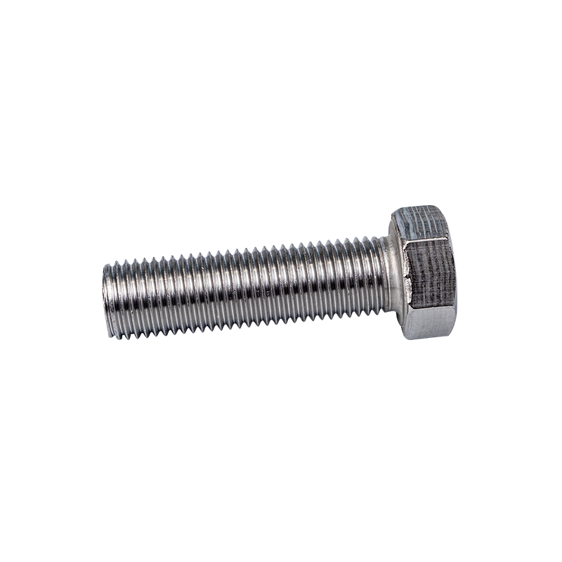 SS316 DIN933 M22 Hexagon Head Bolts