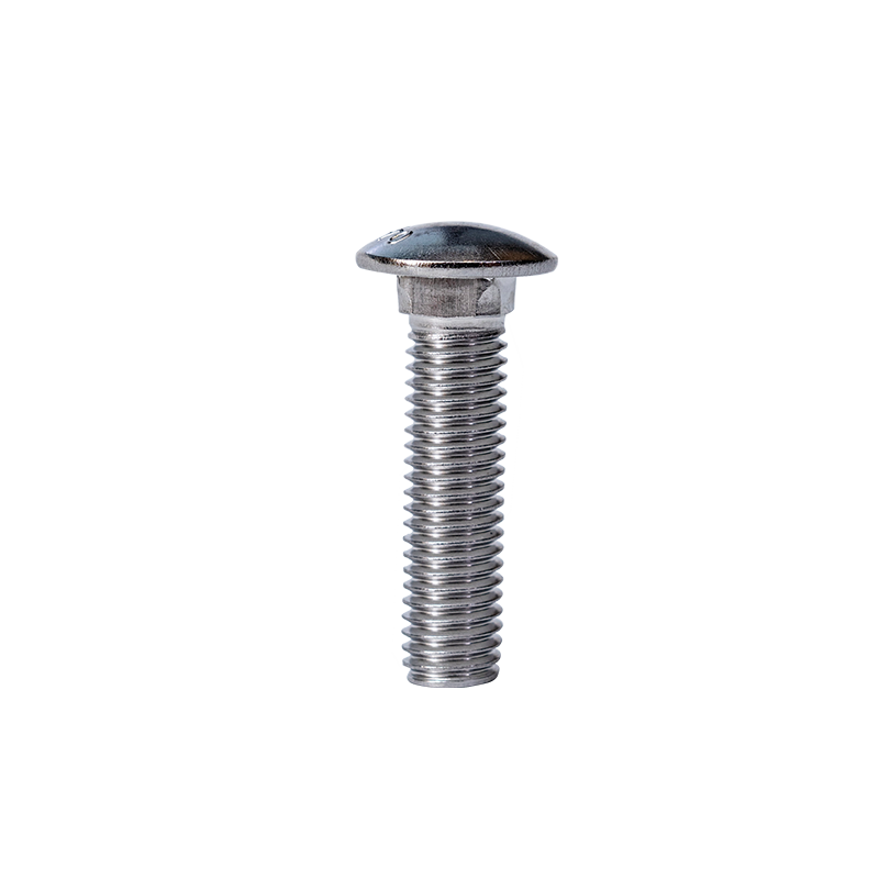 SS304 GB12-76 M10 Cup Head Square Neck Bolts