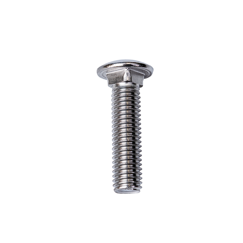SS304 DIN603 M10 Cup Head Square Neck Bolts